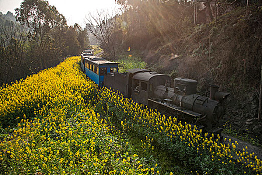 行驶在四川乐山市犍为县嘉阳小火车蜜蜂岩与跃进站间的小火车