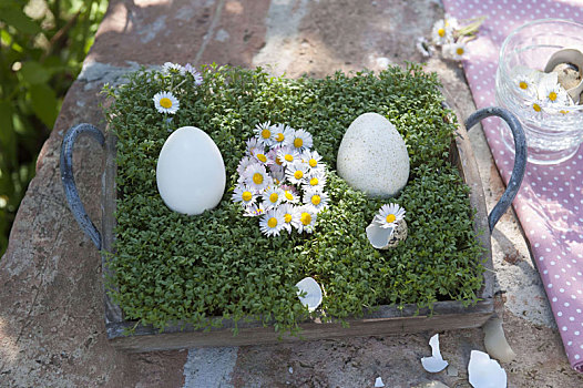 花,蛋,形状,复活节彩蛋