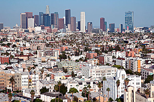俯视,地区,洛杉矶市区
