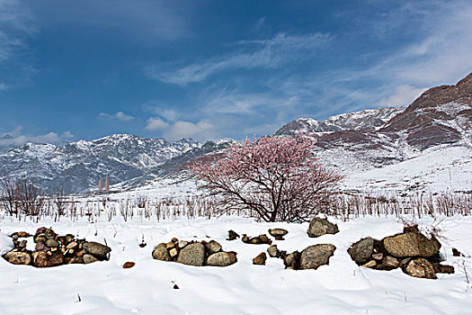 贺兰山雪景