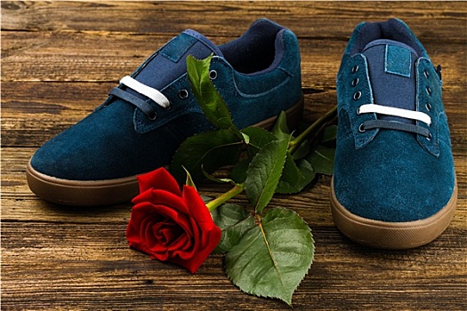 深蓝,男人,鞋,玫瑰