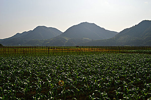 田园风光