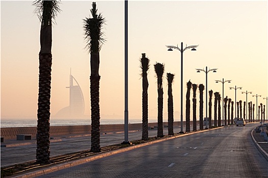 棕榈树,小路,迪拜,阿联酋