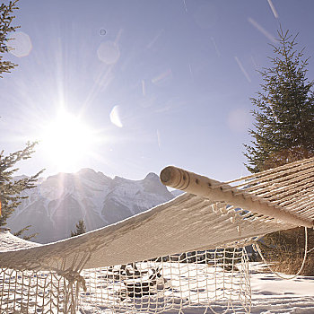 吊床,冬天,太阳,靠近,加拿大,艾伯塔省