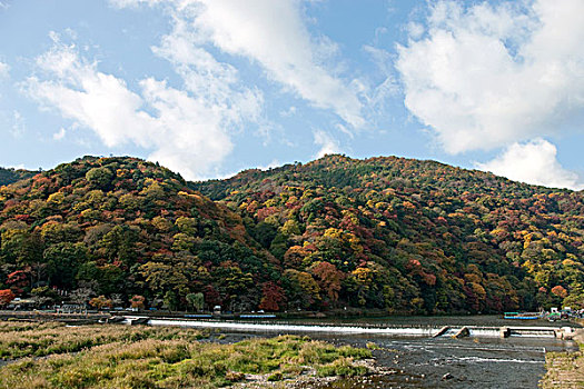 桥,河,岚山,,