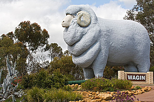 巨大,雕塑,南方,区域,西澳大利亚州,澳大利亚