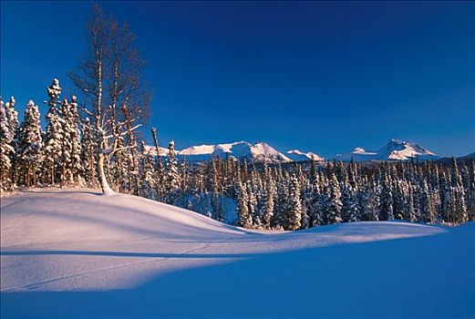 楚加奇山,阿拉斯加,冬天,景色