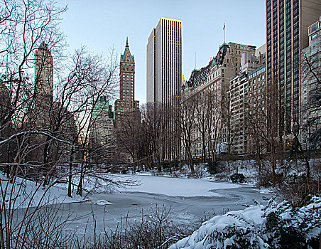 冬天,雪,中央公园,曼哈顿,纽约,美国