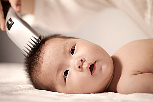 母親,母獸,剃,毛發,嬰兒,幼仔