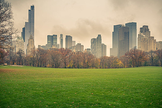 纽约,中央公园,雨天