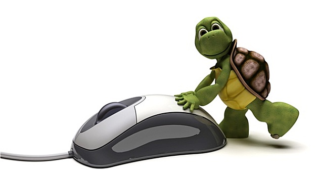 龟,电脑鼠标