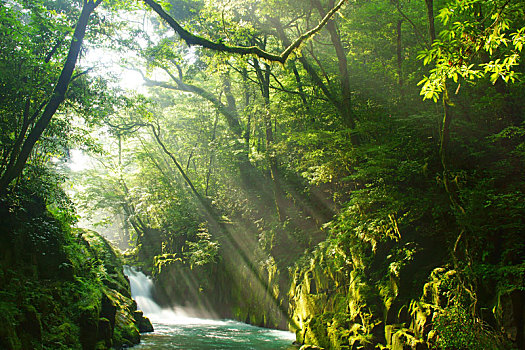 峡谷,熊本,日本