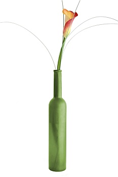 马蹄莲,花瓶