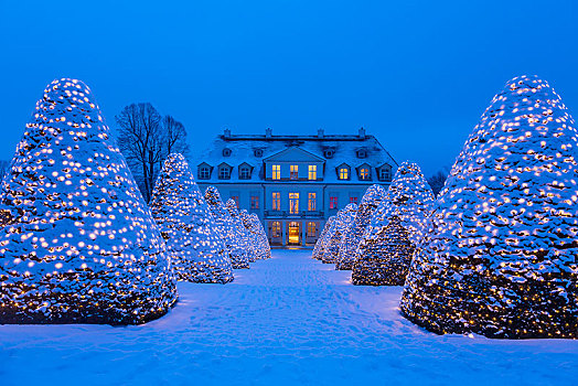葡萄酒厂,城堡,圣诞灯光,雪,黎明,萨克森,德国,欧洲