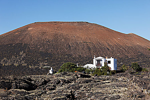 火山,房子,火山岩,地点,兰索罗特岛,加纳利群岛,西班牙,欧洲