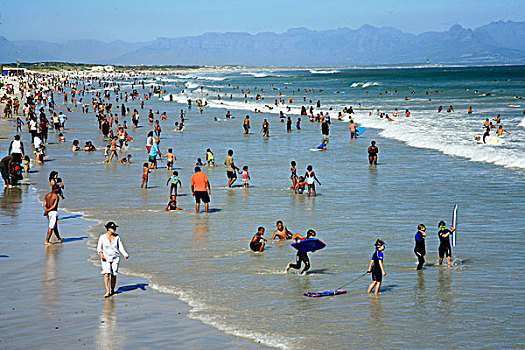 人群,鱼,海滩,开普敦,南非