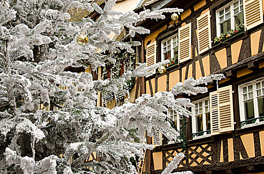 法国,阿尔萨斯,科尔玛,圣诞树,正面,特色,历史,半木结构,家
