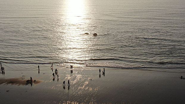 山东省日照市,清晨的太公岛频现千人赶海壮观情景