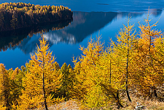 完美,秋天,白天,中间,金色,十月,上方,湖,恩加丁,瑞士