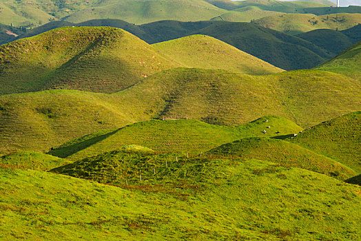 湖南邵阳城步南山大草原风光