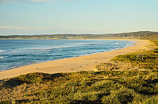 海滩,靠近,新南威尔士,澳大利亚