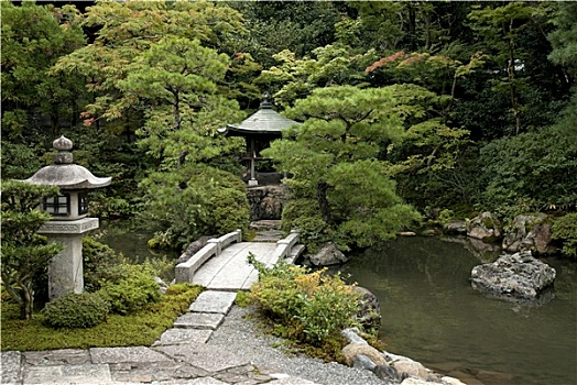日本传统,花园,京都,日本