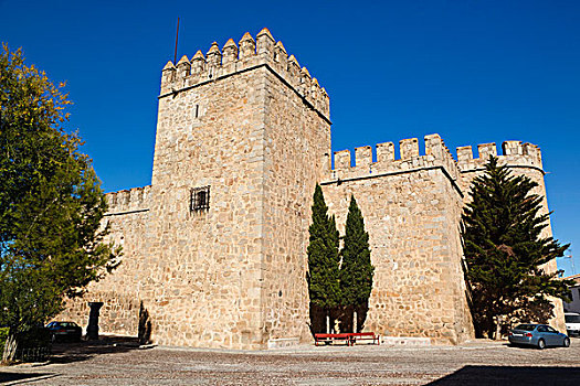 城堡,托莱多省,卡斯蒂利亚,拉曼查,西班牙