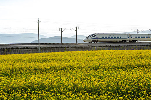 田园风光