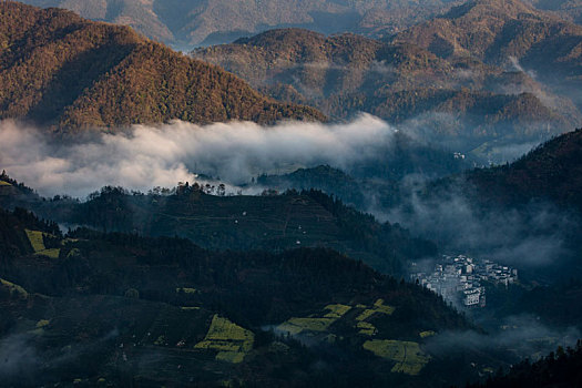 石潭,云海,安徽,山沟,油菜花,风光,壮观,气候,环境,仙境,诱惑,秀美,俯瞰,村庄