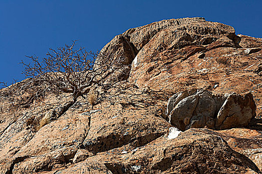 石头,靠近,区域,纳米比亚,非洲