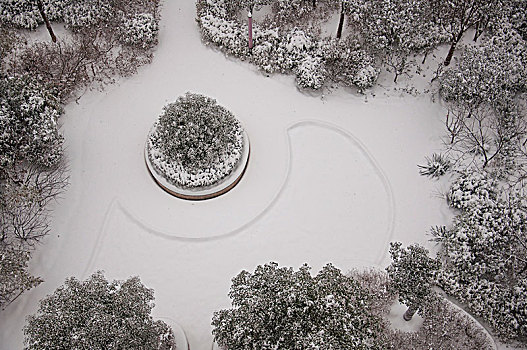 被雪花覆盖的小花坛