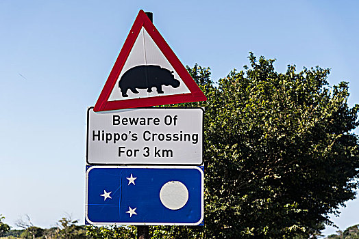 河马,警告标识,湿地,公园,南非,非洲