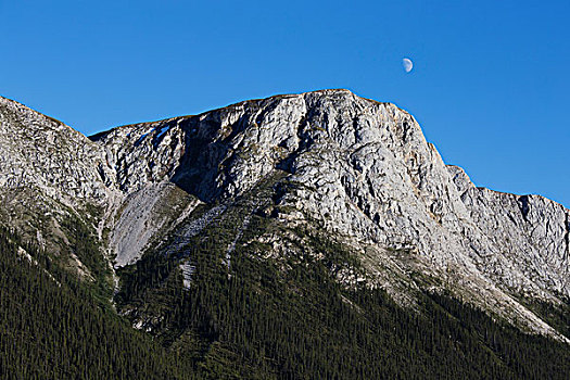 景色,山,阿拉斯加公路,南方,育空,加拿大