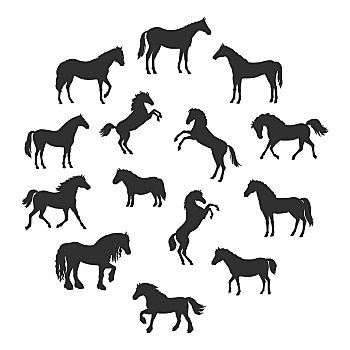 矢量,剪影,马,收集,不同,姿势,站立,风格,象征,骑马,标识,设计,隔绝,白色背景