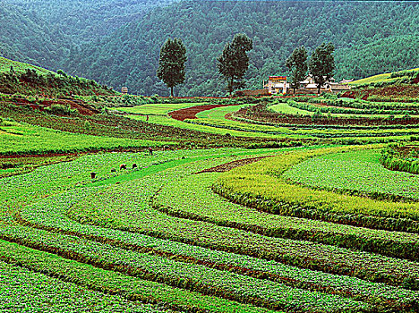 红土地风光