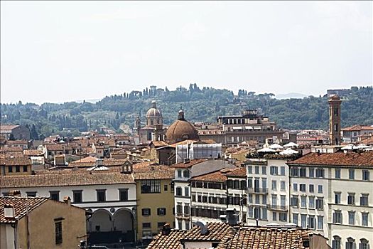 俯拍,建筑,城市,佛罗伦萨,托斯卡纳,意大利