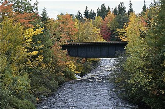 桥,溪流,新斯科舍省,加拿大
