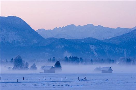 冬天,早晨,巴伐利亚,德国