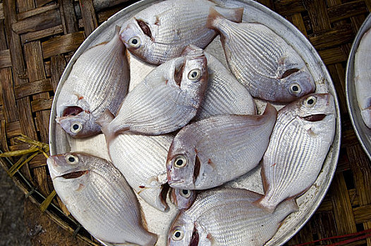 越南,色调,市场,鲜鱼,出售