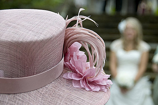 英格兰,兰开夏郡,兰卡斯特,特写,粉色,花,帽子,模糊,新娘,风景