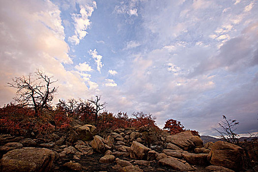 晨光,山,山峦,野生动植物保护区,俄克拉荷马,美国