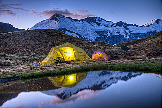 露营,读,帐篷,照亮,手电,艾斯派林山国家公园,新西兰