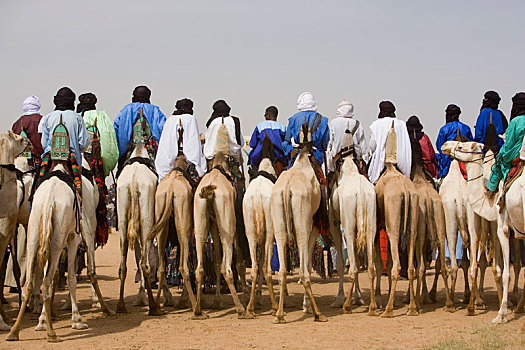 后视图,大量,男人,骑,骆驼,沙漠