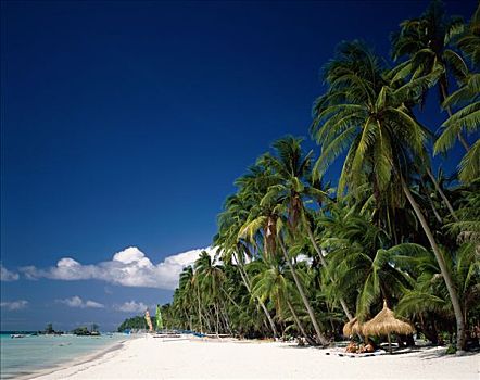 棕榈树,热带沙滩,海洋,沙子,长滩岛,菲律宾