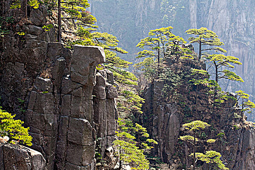 黄山,自然风光