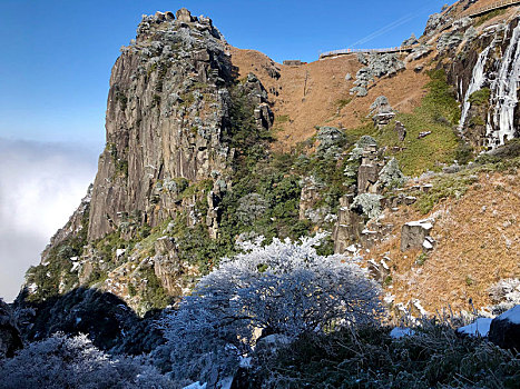 武功山雪松