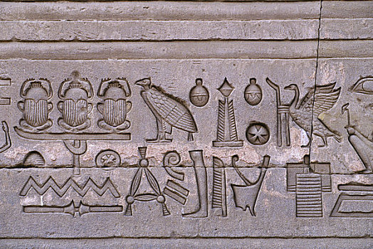 埃及,丹达拉,哈索尔神庙,象形文字
