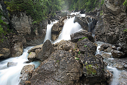 溪流,阿尔卑斯山,提洛尔,奥地利