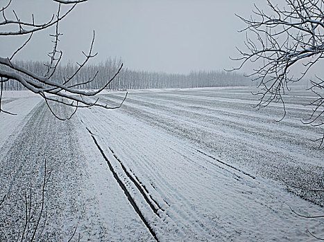 乡野雪景