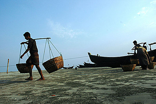 鱼,船,陆地,岛屿,湾,孟加拉,捕鱼,职业,二月,2007年